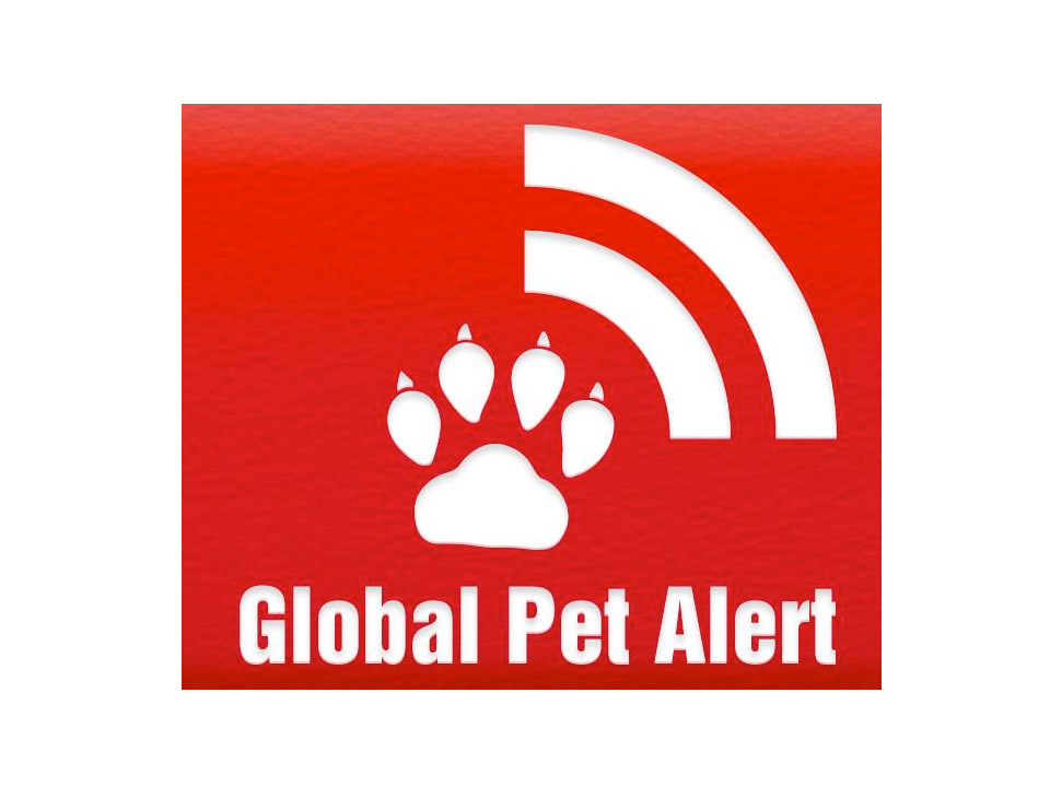 DAPZWD_dierenartsenpraktijk-zuidwest-drenthe_nieuws-global-pet-alert