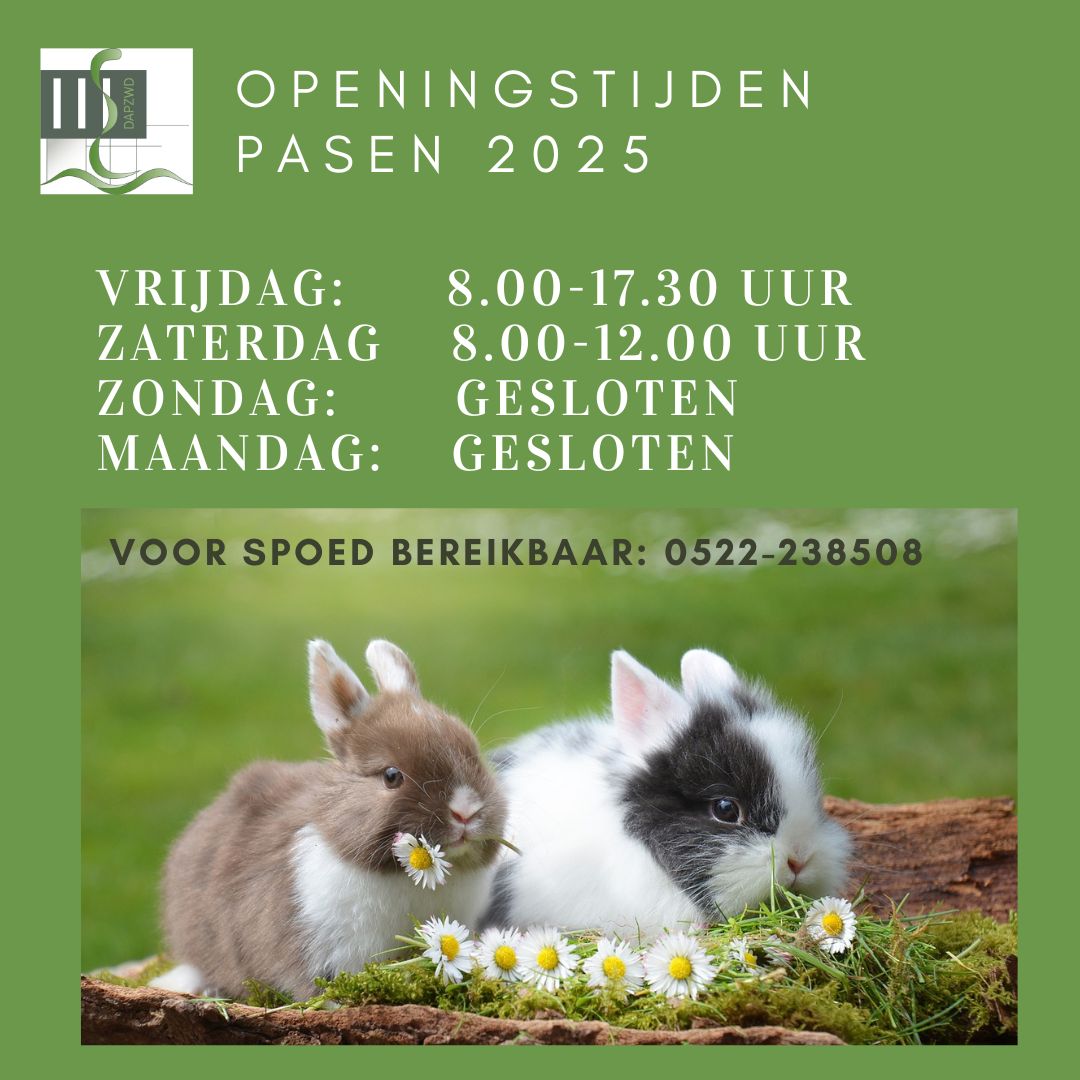 Groen Black Friday Instagram post Groen Black Friday Instagram post