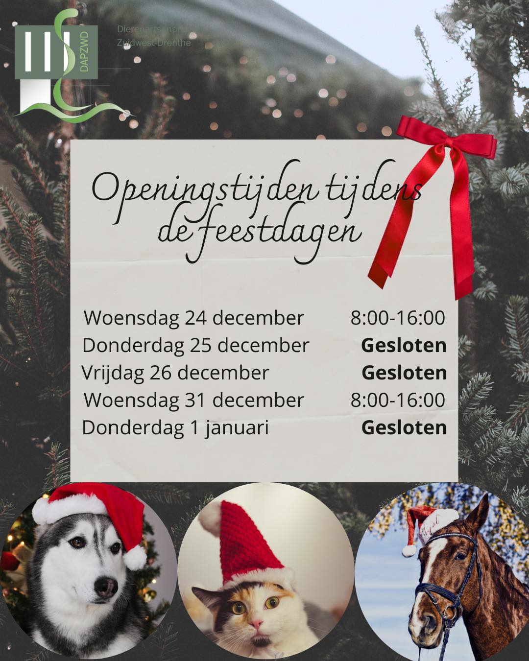 openingstijden kerst dapzwd 2025