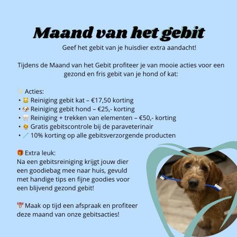 Maand van het gebit DAPZWD huisdieren tandsteen verwijderen