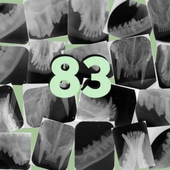 Dierenarts maand van het gebit meppel